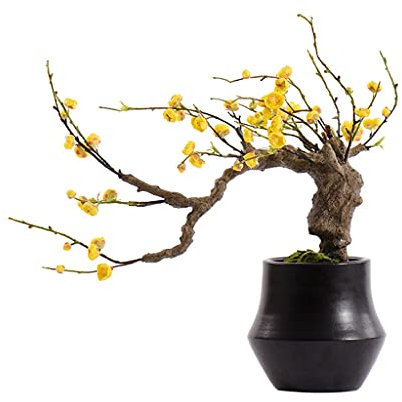 zxb-shop Künstlicher Baum Künstlicher Baum Bonsai Realistische Grüne Topfpflanzen Künstliche Blumen Simulation Moos Dekoration Chinesische Zen Bürostudie Wohnzimmer Simulation Bonsai