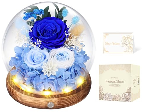 MAMAMIKO Ewige Rose im Glas Blau mit LED, Infinity Rose, für sie und ihn | Echte konservierte Rose, jahrelang haltbar; zum Valentinstag, Jahrestag, Geburtstag für Freundin, Freund, sie und ihn