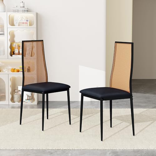 BRILVERDE Esszimmerstühle Rattan 2er Set,Gepolsterter Stuhl mit Metallbeinen,Küchenstuhl,für Wohnzimmer,Küche,Esszimmer,Café,Balkon