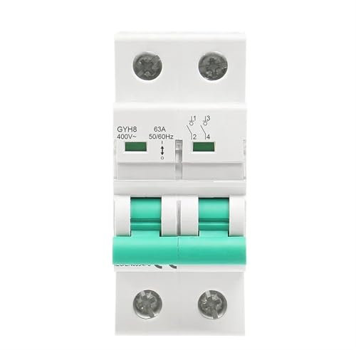 Disjoncteur principal GYH8 à 2 pôles for rail DIN, 400 VCA, DP, 1 pièce(63A)