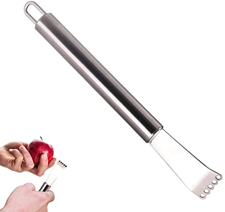 Hamil Zester di Limone | Grattugia fine in Acciaio Inossidabile | Grattugia per Limone Durevole, grattugia per Frutta per Uso Alimentare, da Cucina ergonomici per Limone, Lime e Arance