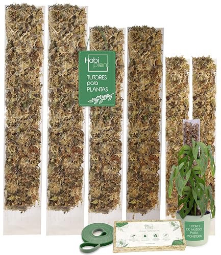HABIPLANT Set de 6 Tutores de Musgo Extensibles para Plantas Trepadoras de Interior Incluye Musgo Sphagnum 200g y Velcro 5m Tamaños L/M/S Soporte de Plastico Ideal para Monstera Pothos Philodendron