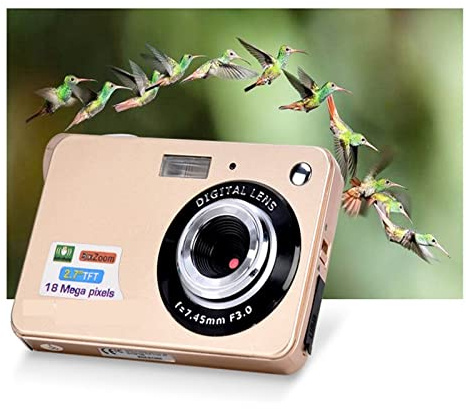 Fotocamere digitali compatte da 18 MP Registratore fotografico fotografico vintage Schermo da 2,7 Mini fotocamera Selfile Videocamera retrò HD 720P Regalo per principianti(Gold)