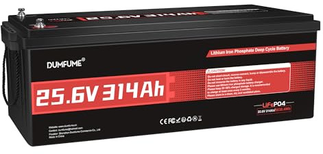Dumfume Batería Litio LiFePO4 24V 300Ah (314Ah) con 8 kWh & IP65