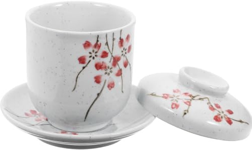 Amosfun Tasse De Ragoût Japonaise En Céramique Avec Couvercle Et Plat Bol À Soupe Pour Soupes Nid D’Oiseau Comestible Et Œufs Surface Lisse Pour Cuisine Maison Et Cadeau