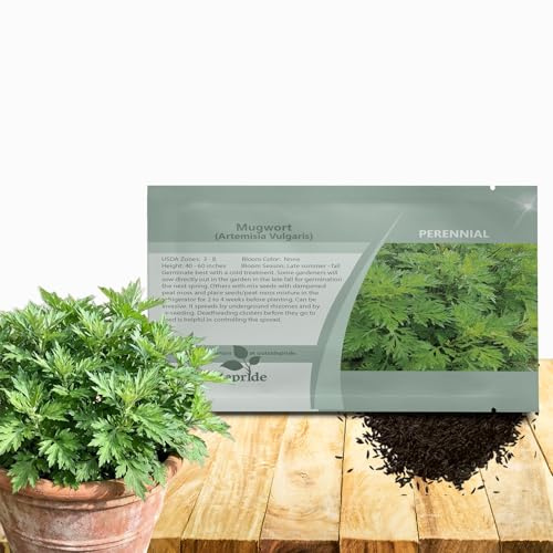 Outsidepride Mugwort Seeds - 5000 Pcs. Perennial, Easy to Grow & Drought-Tolerant, Herb Seeds for Planting Aromatic, Clustered Foliage, Ideal for Culinary Creations & Pollinator Gardens