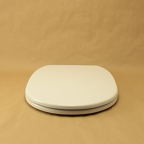 Copriwater per GALASSIA M2 50CM TERRA/SOSPESO TERMOINDURENTE BIANCO cerniera inox normale o rallentata soft close