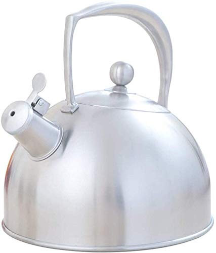 ARNUZ Hervidor de cocina de inducción, tetera de acero inoxidable 304, silbato Universal de Gas para el hogar, pesa rusa 3L DF