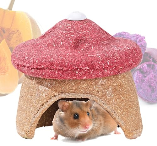 für Hamster - Pilzform für Kleintiere zum Knabbern | Hamster Lebensraum - für Kaninchen Hamster Eichhörnchen Chinchilla Igel und Frettchen im Käfig