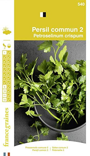 France Graines - Persil Commun 2