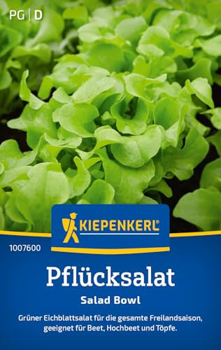 Kiepenkerl Pflücksalatsamen Salad Bowl 1007600 – Eichblattsalat - für Beet, Hochbeet und Töpfe - Inhalt für 300 Pflanzen - Salatpflanzen, Saatgut
