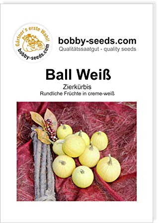 Ball Weiß Zierkürbis von Bobby-Seeds, Portion