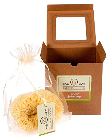 Natural Yellow Sea Wool Sponge 6 Inches. Perfect for Bath, Shower & Body Care. Super Soft & Not Skin Irritating. Baby Approved. Luxury Sponge in a Bag & Craft Box