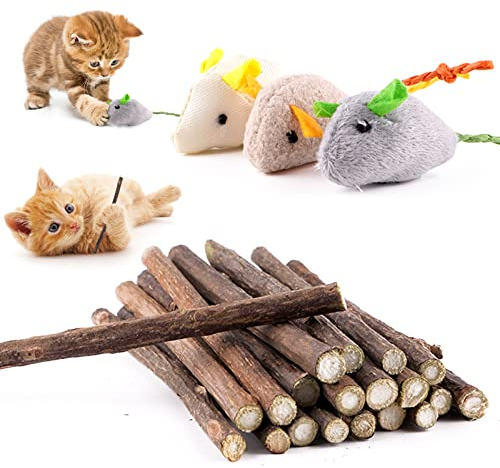23 Stück Katzenminze Sticks, Matatabi Katzen Kauhölzer als Katzenspielzeug, Matatabi-Kausticks als Katzenspielzeug, Katzenminze Sticks zum Schleifen von Zähnen, Natürlich, Matatabi Zahnpflege
