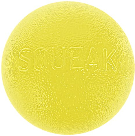 Outward Hound by Planet Dog Squeak Ball Bouncy Fetch Dog Toy, Yellow