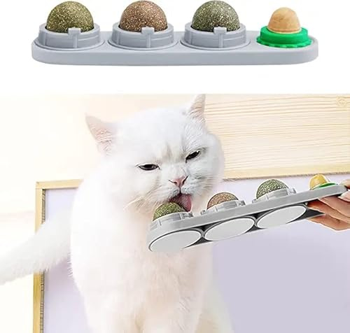 STARROAD-TIM Katzenminze Wandball Katzenminze Spielzeug für Katzen Zähne sauber essbar rotierende Katzenminze Bälle gesunde natürliche Katzenleckerli