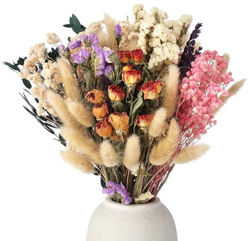 RosewineC Trockenblumenstrauß Deko Set Natürliche Don't Forget Me Rose Getrocknet Blumen Dried Flowers Pflanzen Blumenstrauß Boho Deko für Wohnzimmer Home Hochzeit Vasen Tischdeko