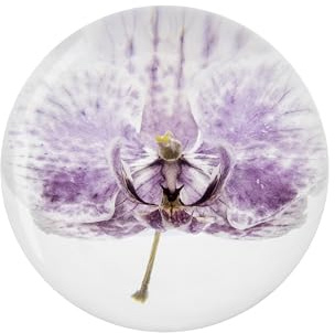 NouvoCrescent Real Purple Orchid Paperweight - Home Decor Crystal Resin Ball 3.14in (80mm) - Clear Resin Purple Orchid Flower Globe for Special Days - Sphere Figurine Office Paperweight w/Flat Bottom