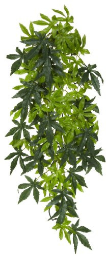 Exoterra Décoration Abutilon Plante Grand Modèle pour Reptiles et Amphibiens