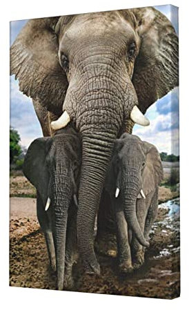 SUAQUE Afrikanische Wildtiere, Elefant, Premium-Leinwand, randlos, dekoratives Gemälde, 30,5 x 45,7 cm, Ölgemälde für Wohnzimmer, Schlafzimmer, Büro