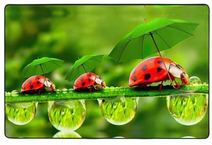 EdWal Lustiger Marienkäfer-Druck mit Regenschirmen, superweich, für Wohnzimmer, Schlafzimmer, Badezimmer, Küche, Bodenmatten
