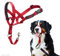 HALTI Headcollar Size 4 Red, UK Bestselling Dog Head Harness to Stop Pulling on the Lead, Easy to Use, Padded Nose Band, Adjustable & Reflective, Professional Anti-Pull Training Aid for Large Dogs