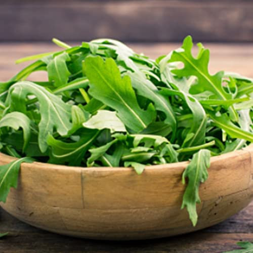 Semillas de Rúcula para Huerto Urbano Semillas Fáciles de Germinar