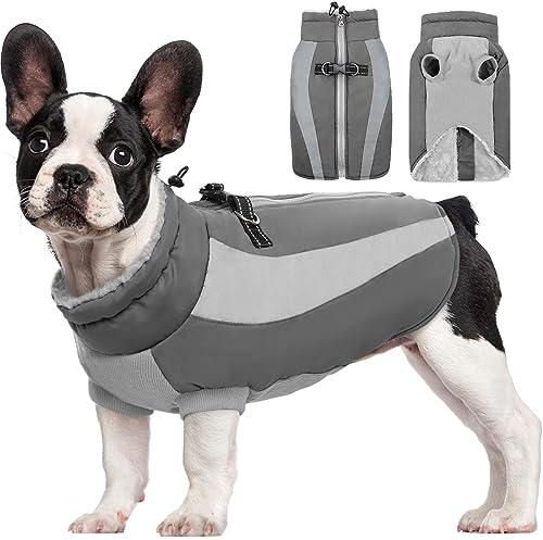 Kuoser Extras Winterhundemantel, Winddicht und Wasserdicht, Reflektierend, Grosse Hunde, Moden Winterjacke, Grau L