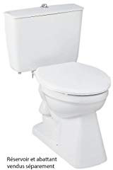 Cuvette WC seule à sortie verticale Aspirambo Porcher