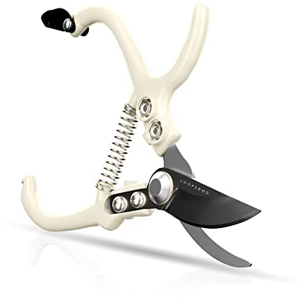 LOOPSEED Bypass Pruning Shears Hand Pruner Garden Trimming Scissors Plant Trimmers Herb Snips Flower Clippers Ergonomic Handle Modern Garden Tools (Classic Cream)
