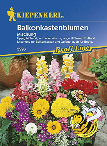 Kiepenkerl 3996 Balkonkastenblumen Mischung (Balkonkastenblumensamen)