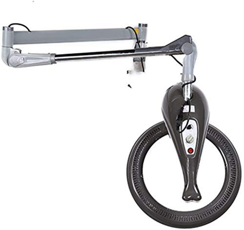 Secador de pelo orbital Montado en la pared Infrarrojo Profesional Permanente del cabello Acelerador de color Procesador Temperatura ajustable Salón de peluquería Calentador de cabello 950W Procesador