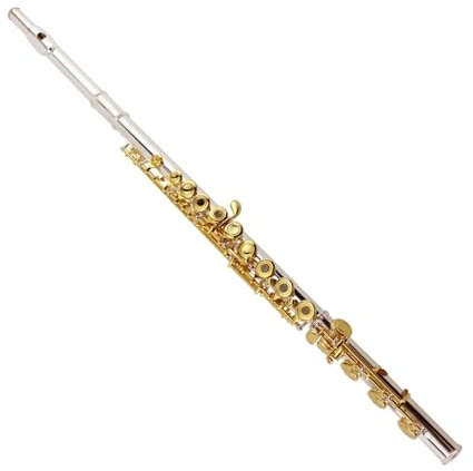 Flöte 17-Loch-Flöteninstrument C-Taste