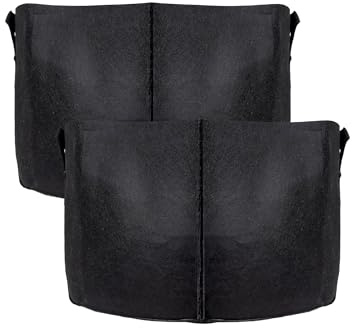 INTIRILIFE 2X Pflanzsack aus Vlies Stoff 38 Liter -10 Gallon- 40 x 30 cm - Pflanzen Übertopf mit Tragegriffen für Garten, Gewächshaus - Pflanzkübel Pflanzgefäß Pflanzbeutel Pflanztasche Kartoffelsack