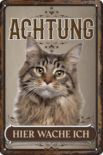 LUCKYLINDE – Wetterfestes Katzen Blechschild auch für den Außenbereich, Türschild, Hinweisschild, Warnschild: Achtung hier wache ich! - 20 x 30 cm (Maine Coon)