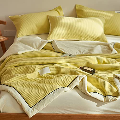 LBLFEBD Set Biancheria da Letto in Tre Pezzi, Trapunta Biancheria da Letto per Hotel, Piumino Doppio, Coperta Spessa e Isolante Termica, Piumino Facile da Pulire, Piumino Traspirante, Piumino Leggero