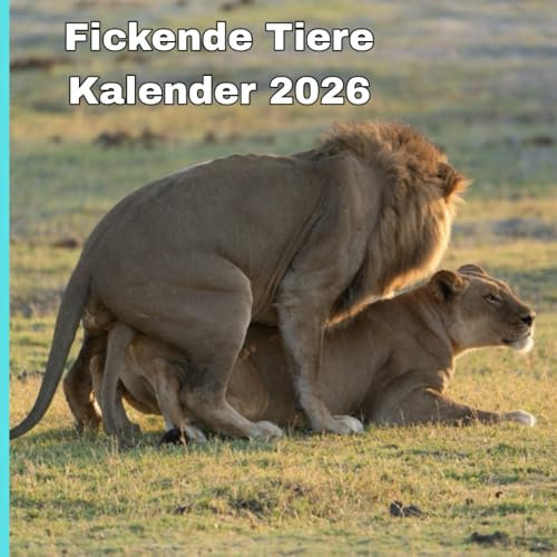 Fickende Tiere Kalender 2026: Ein Geschenk für Tierliebhaber