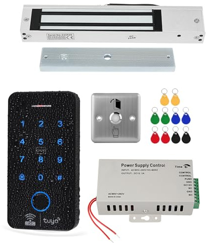 ReaIOKbii Kit de control de acceso WiFi TUYA, sistema de seguridad, cerradura de puerta con teclado táctil RFID impermeable, control de acceso inteligente por huella digital, cerradura