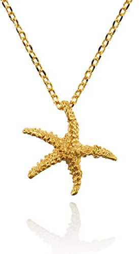 namana Seestern Anhänger mit Halskette fur Damen, gebürstetes Finish, Starfish Anhänger mit Ketten für Frauen und Teenager, Mädchen, nautisches Schmuckstück in Geschenkschachtel