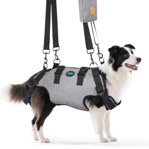 Ownpets Arnés de Elevación para Perros Mediano, Arnés de Cuerpo Entero Perro, Arnes Ayuda Perro, Arnes de Transporte para Perros, Suave, Impermeable, Ajustable, Reflectante, Transpirable, Gris, XL