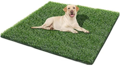 LSSHQ Kunstrasenteppich Rasenteppich Mit Drainage Noppen, Outdoor Kunstrasen Matte in Grün Wetterfest Kunstgras für Haustiere für Balkon& Terrasse(4x6ft)