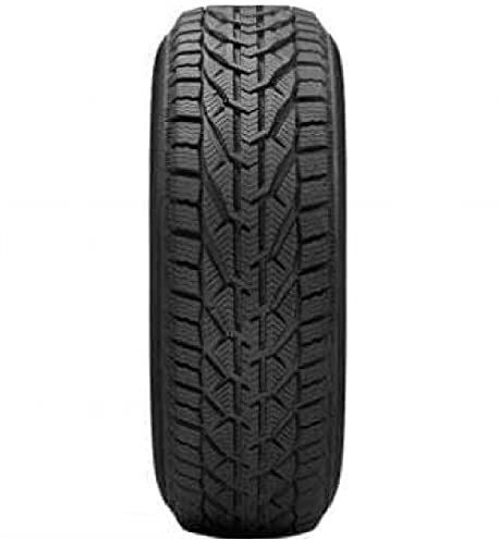 Riken 205/55 R16 91T Winterreifen M+S 3PMSF Reifen