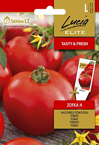 Lucia Elite | TOMATE ZOFKA H samen| Gemüsesamen | Pflanze samen | Tomatensamen | Gardensamen | 1 Pack