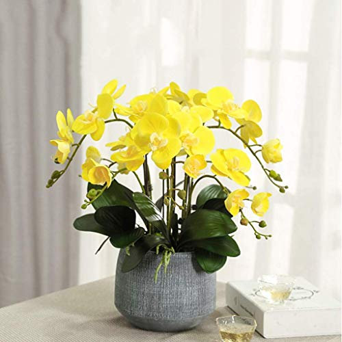 pflanzenständer, blumenstand, blumenstander Blumenregal pflanzenhocker pflanzentopf blumentopf hoch indoor holz seule Garten Blumentreppen Pflanzentreppe Ablagen deko gold metall weiß schwar
