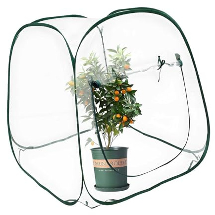 Copertura per serra per piante invernali Design isolato per giardino Protezione Materiali in PVC trasparente Costruzione con telaio in acciaio Riparo per piante invernali