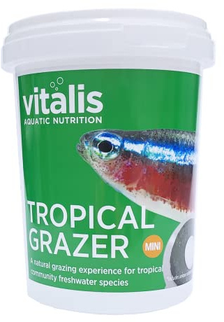Vitalis Tropical Mini Grazers Fischfutter Aquarium Fischfutter Aquarium Grazers für Tropische Fischarten - hochverdaulich und ausgewogen - Vitamine und Mineralien (240g)