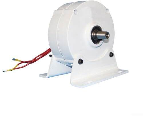 ZMdooreasy Generatore magnetico permanente a 3 fasi per energia eolica con funzione generatore sincrono, potenza nominale 100W, tensione 12/24V, velocità 750rpm, frequenza 50Hz per uso industriale