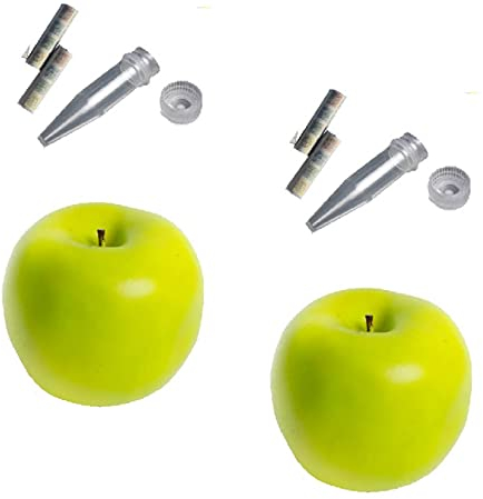 2 x Großer Apfel Wald D5 Geocaching Versteck Behälter Micro Dose Cache Nano