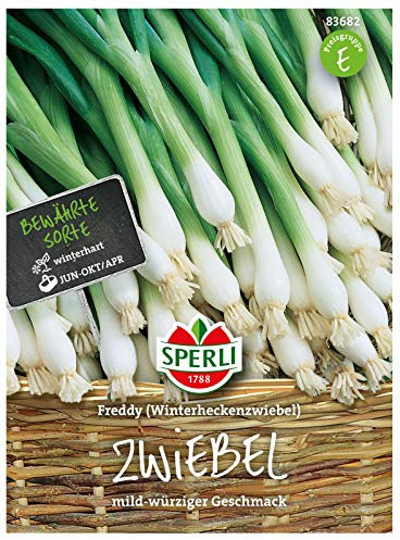 83682 Sperli Premium Lauchzwiebel Samen Freddy | Mild | Würzig | Aromatisch | Lauchzwiebel Saatgut | Lauch Samen