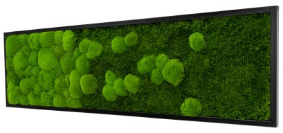 Moosbild River Design im Verlauf rechteckig versch. Maße günstig, Wandbild, Mooswand, Pflanzenbild mit Bollenmoos, Plattenmoos und Holzrahmen (140x40 cm, schwarz)